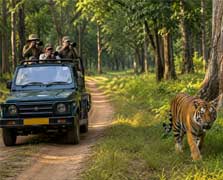 kanha jeep safari
