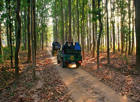kanha tour