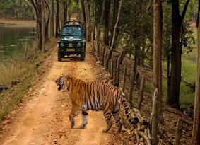 kanha safari zones